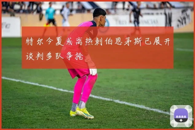 特尔今夏或离热刺伯恩茅斯已展开谈判多队争抢