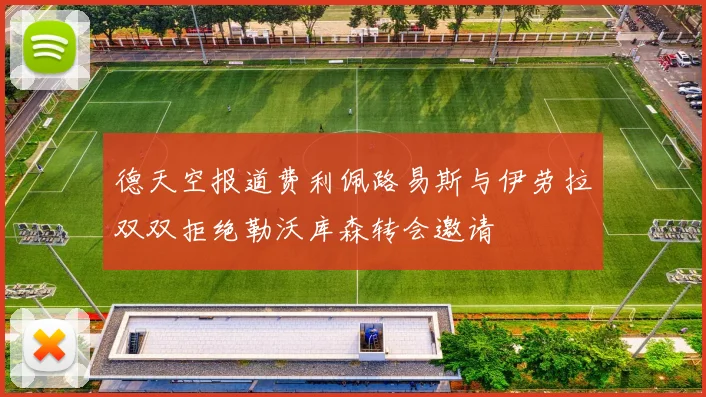 德天空报道费利佩路易斯与伊劳拉双双拒绝勒沃库森转会邀请