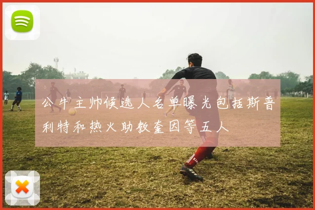 公牛主帅候选人名单曝光包括斯普利特和热火助教奎因等五人